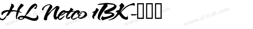 HL Netco 1BK字体转换